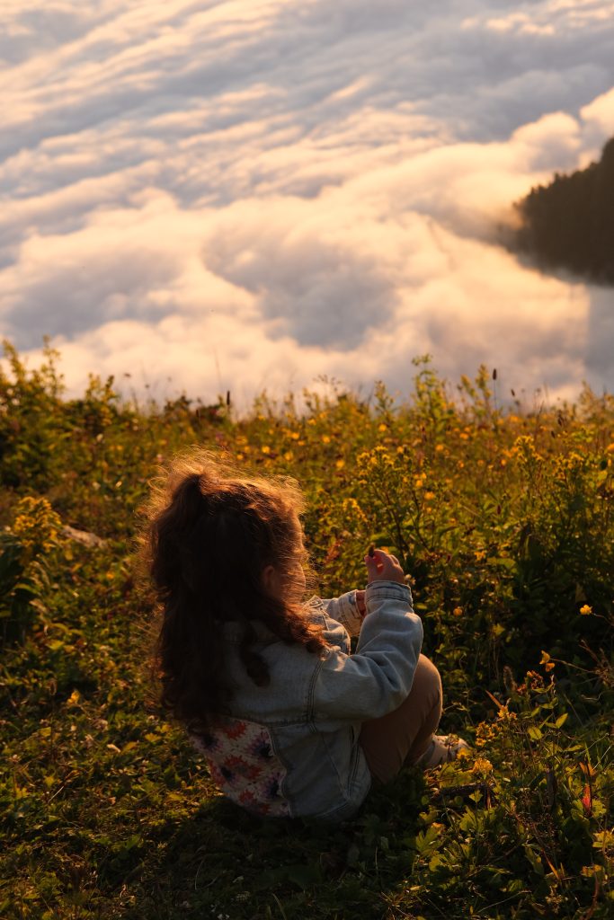 Beginners Guide: Crafting Your First Wooden Toy For The Little Ones Beginners Guide: Crafting Your First Wooden Toy For The Little Ones