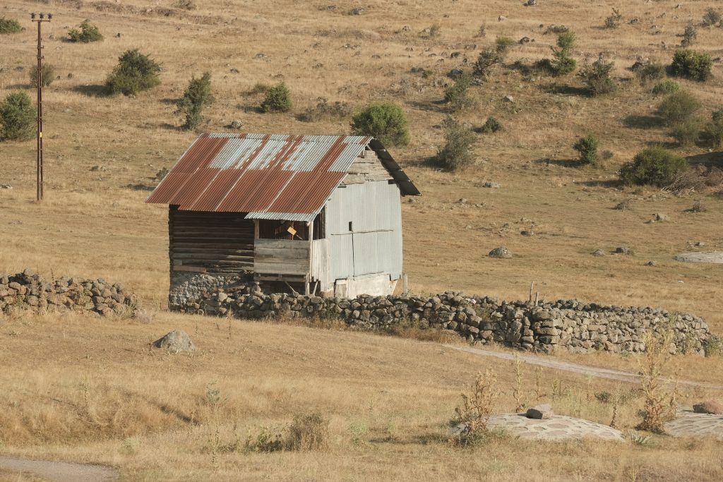 Ryan Shed Plans Review