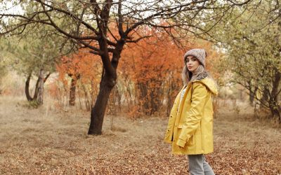 Hardwood Vs. Softwood: Understanding Your Woodworking Materials