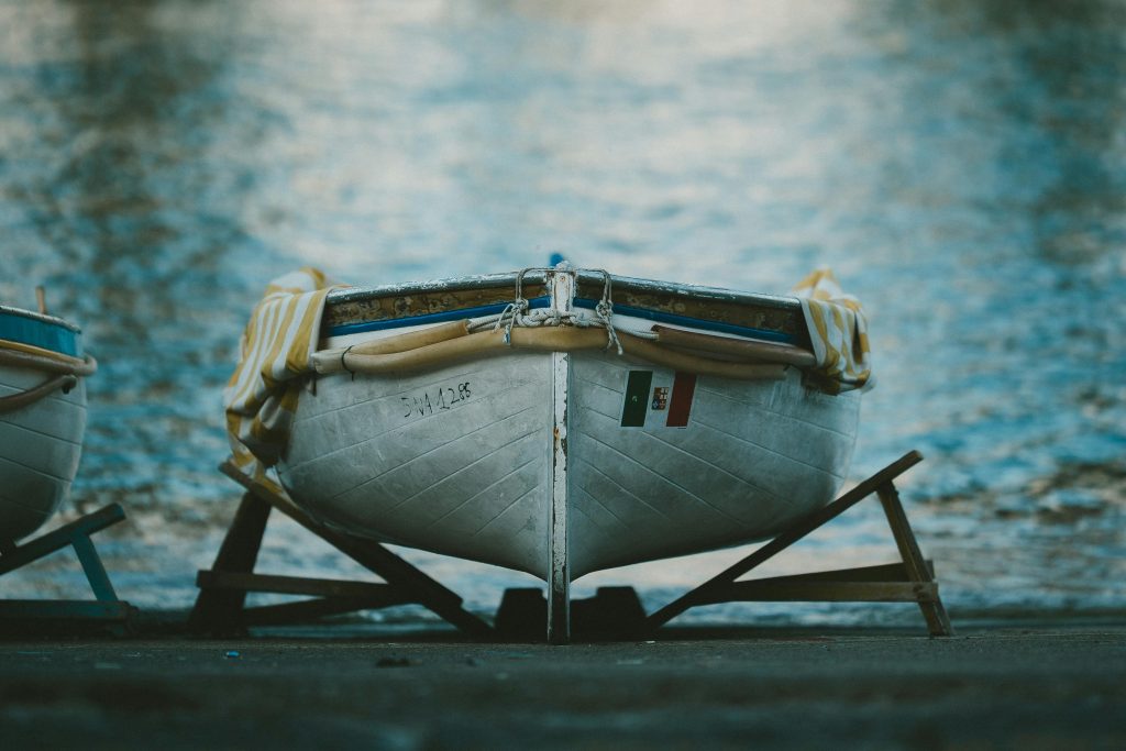 Selecting The Perfect Wood: A Beginners Guide To DIY Projects