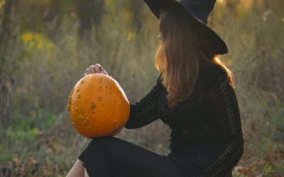 Selecting The Perfect Wood: A Beginner’s Guide To DIY Projects